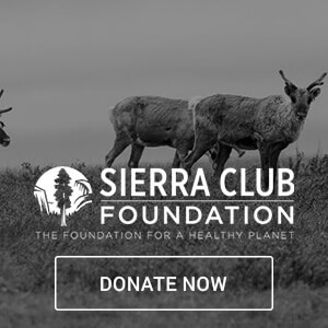 sierra club foundation