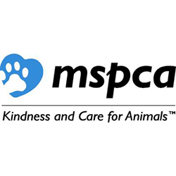 MSPCA-Angell - Massachusetts Society for the Prevention of Cruelty to Animals 