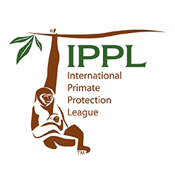 International Primate Protection League / Ape and Monkey Rescue and Sanctuaries 