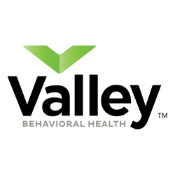 Valley Mental Health Foundation